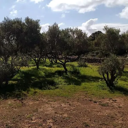 Tatil Evi Cosy In Isterni - Paros